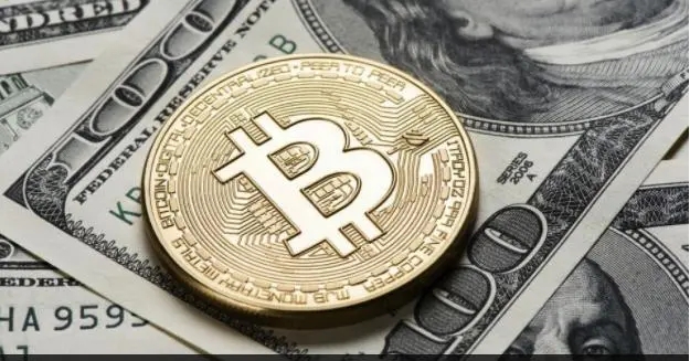 阿达杯代币是什么