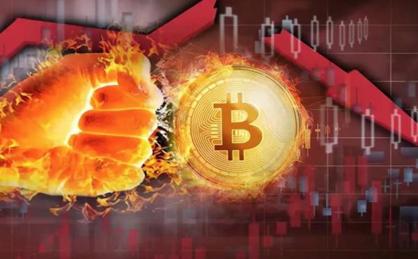 zec币交易所下载 zec币app最新版下载链接-第1张图片-欧易交易所