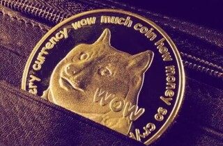 狗狗软件app下载 狗币最新版下载