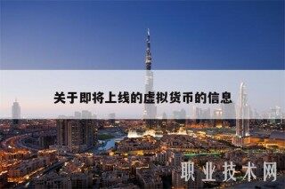 关于即将上线的虚拟货币的信息