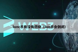 lunc币有没有燃烧（lun币会倒闭