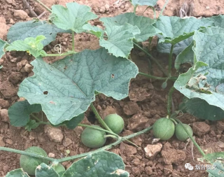 什么地笑填空词语（什么地笑填空词语三个字）