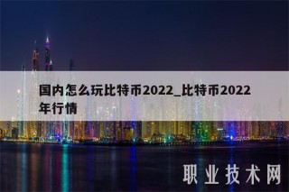 国内怎么玩比特币2022_比特币2022年行情