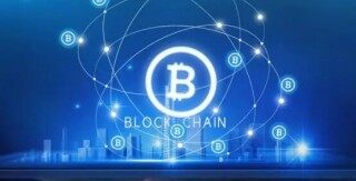 柚子币为何只能买300个(柚子币为何只能买300个商品)