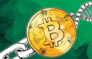 维卡币和维卡币有什么关系 维卡币交易平台v6.0.41app下载安卓