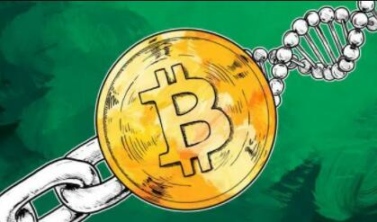 三大虚拟货币交易所(详解)