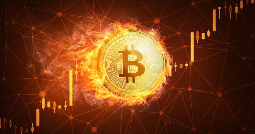 Interactive Brokers Adds Grok AI for Portfolio Insights